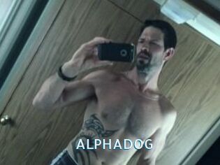 ALPHADOG