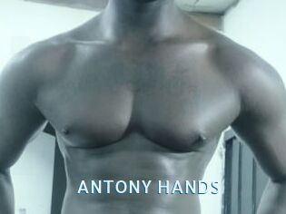 ANTONY_HANDS