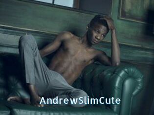 AndrewSlimCute