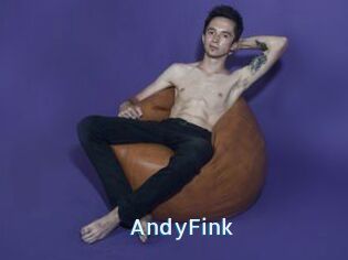 AndyFink