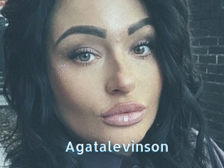 Agatalevinson