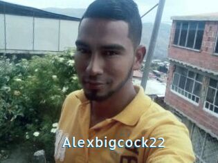 Alexbigcock22