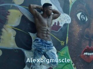 Alexbigmuscle