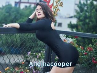 Andinacooper