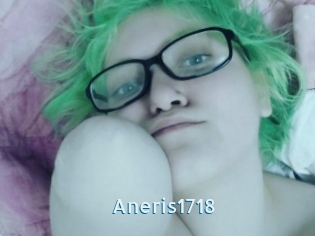 Aneris1718