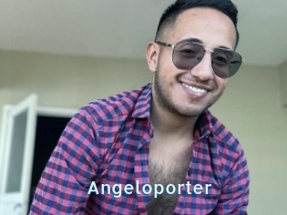 Angeloporter