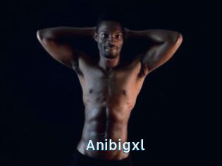 Anibigxl