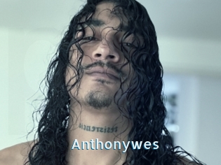 Anthonywes