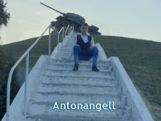 Antonangell