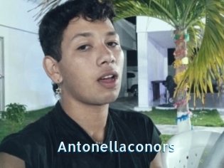 Antonellaconors