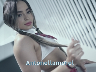 Antonellamorel