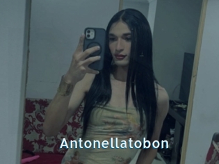 Antonellatobon