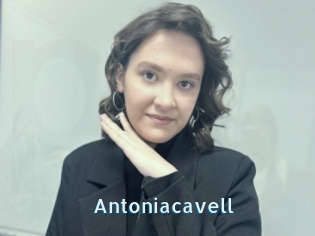 Antoniacavell