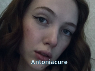 Antoniacure