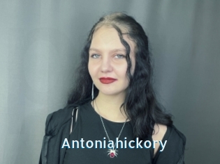 Antoniahickory