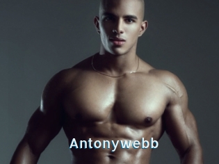 Antonywebb