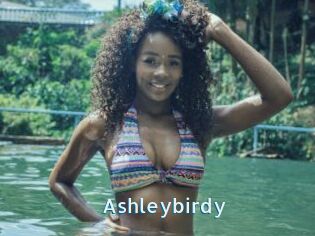 Ashleybirdy