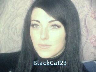 BlackCat23