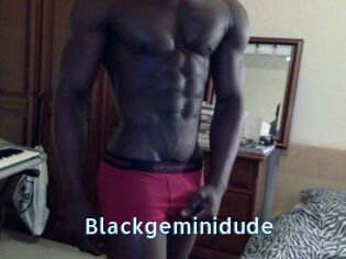 Blackgeminidude