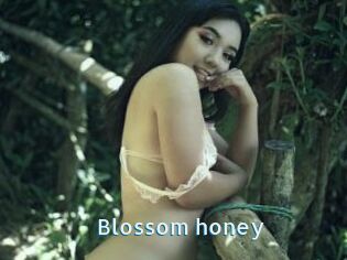 Blossom_honey