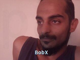 BobX