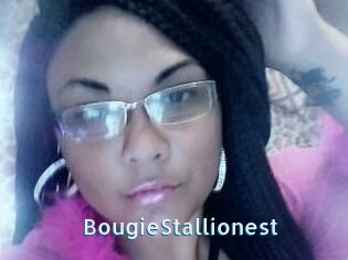 BougieStallionest