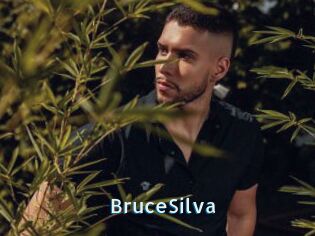 BruceSilva