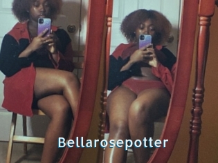 Bellarosepotter