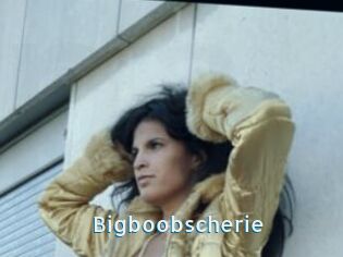 Bigboobscherie