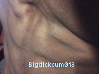 Bigdickcum018