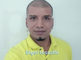 Bigertosmthi