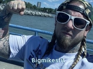 Bigmikesfit