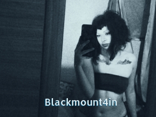 Blackmount4in