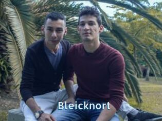 Bleicknort