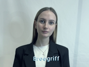 Breegriff