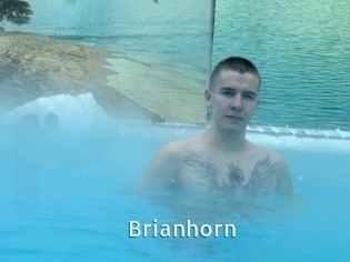 Brianhorn