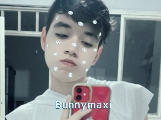 Bunnymaxi