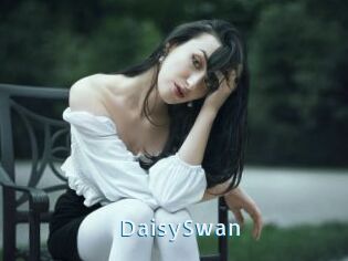 DaisySwan