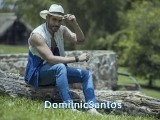 DomiinicSantos