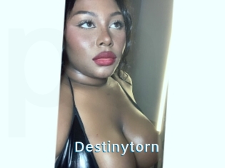 Destinytorn