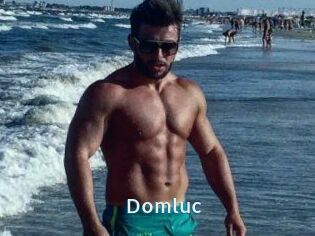 Domluc