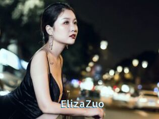 ElizaZuo