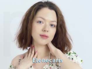 Elenecaris