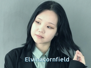 Elvinacornfield