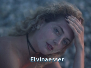 Elvinaesser