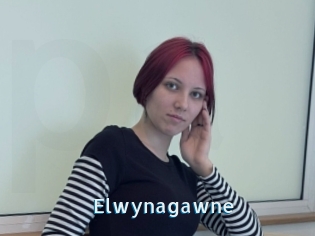 Elwynagawne