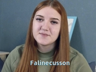 Falinecusson