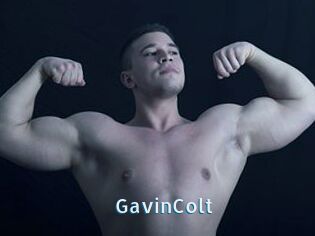 GavinColt