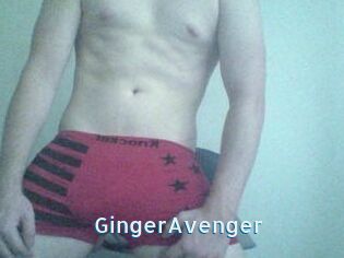 GingerAvenger