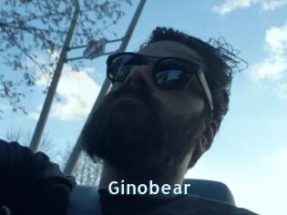 Ginobear